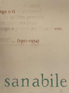 Viale dei Canti Melicucca foto Nino Cannata 0915