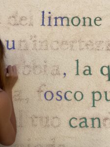 Viale dei Canti Melicucca foto Nino Cannata 0923