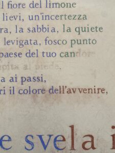 Viale dei Canti Melicucca foto Nino Cannata 0934