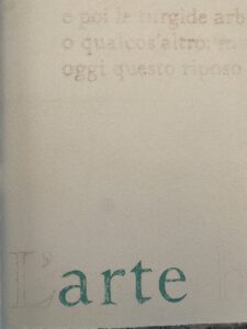 Viale dei Canti Melicucca foto Nino Cannata 0942