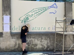 Viale dei Canti Melicucca foto Nino Cannata 0978